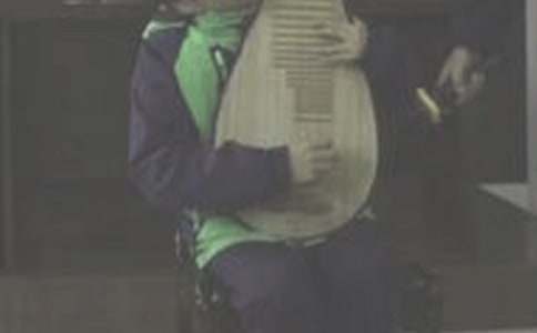 琵琶行致父母親情作文