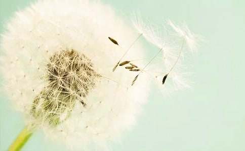 �ѹ�Ӣ���ó�����600��