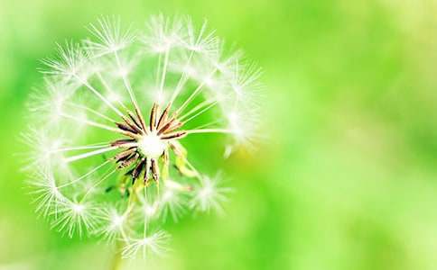 �P(gu��n)���������ѹ�Ӣ����6ƪ