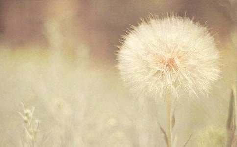 ���P(gu��n)��������ģ��ѹ�Ӣ��˼��