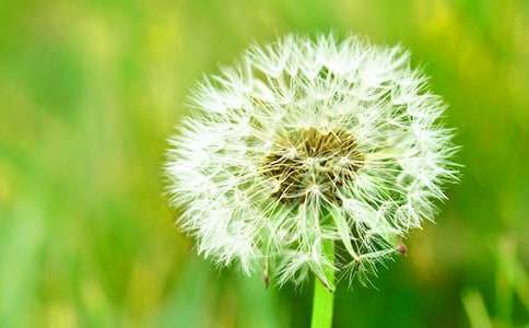 �ѹ�Ӣ��������������