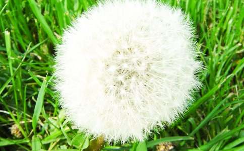 �ѹ�Ӣ��С�B��ͯԒ�������ģ�ͨ��15ƪ��