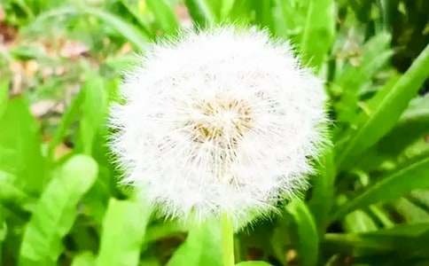 ɳĮ����ѹ�Ӣ������������