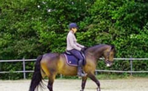 ���x�T�R����600�ּ��\��ƪ