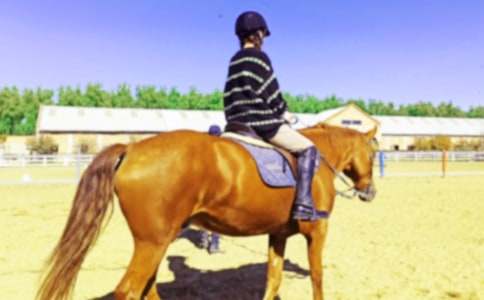 ��һ���T�R���ļ��\15ƪ