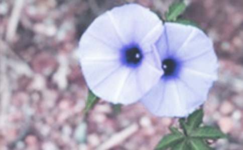 �P(gu��n)�ڠ�����������600��5ƪ