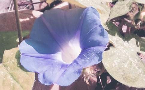 �茑�����������ģ����x26ƪ��