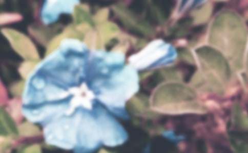 �P(gu��n)���茑�����������ģ����x63ƪ��