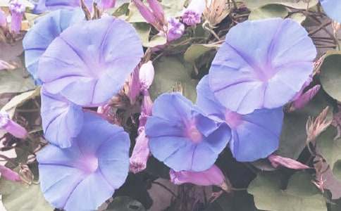 �^�젿��������(����15ƪ)