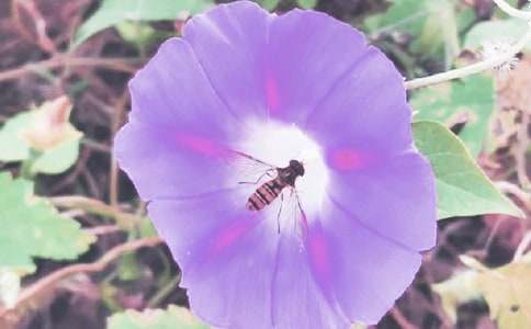 ���P(gu��n)������������400�֣�ͨ��33ƪ��