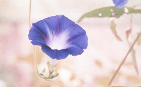 �P(gu��n)�ڠ�����������400��3ƪ