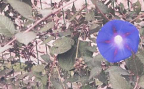 ��B����������300��