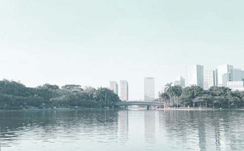 美麗的千燈湖5年級(jí)作文