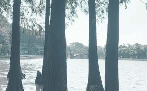 ǧ��������400��