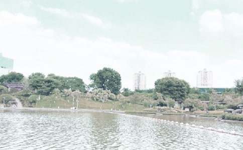 ��ɽǧ�������İ�ƪ