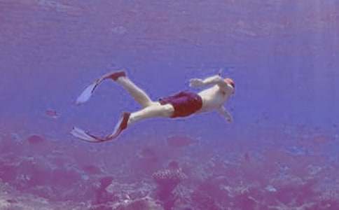 第一次潛水作文(集錦7篇)