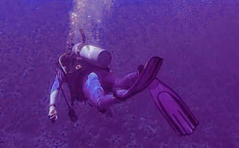 第一次潛水作文(集合7篇)