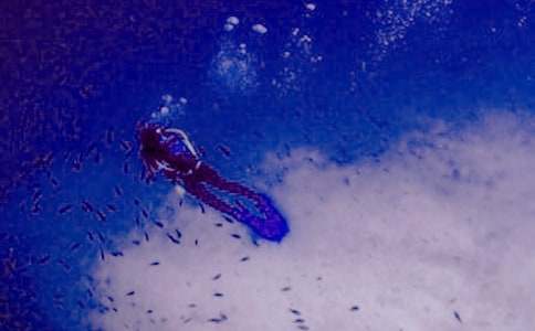 ���и�������1000�֣����ϝ�ˮ