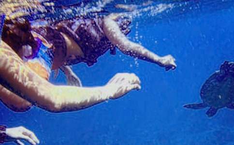 �������ģ�һ���y���ĝ�ˮ