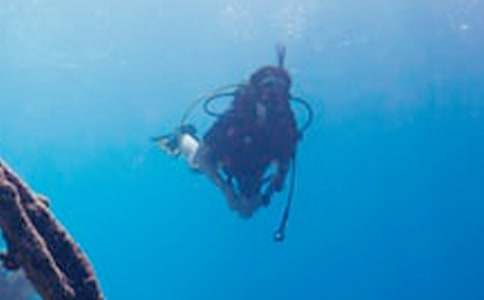 ��һ�Ν�ˮ����ͨ��15ƪ