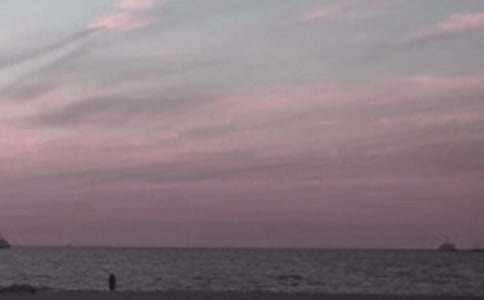 美麗的秦皇島作文集合7篇