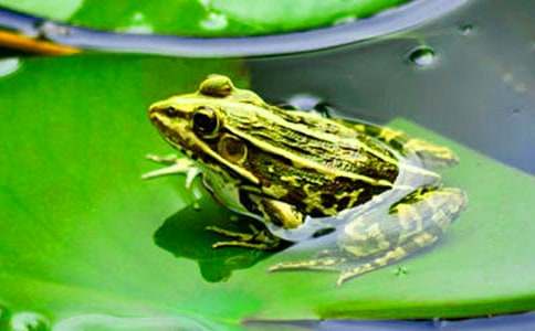 ���ܵ���Ը���ģ����x44ƪ��