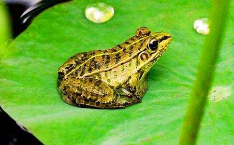 ���ܵĆ�ʾ����(����13ƪ)