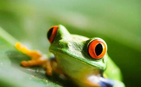 ���ܵĆ�ʾ����6ƪ