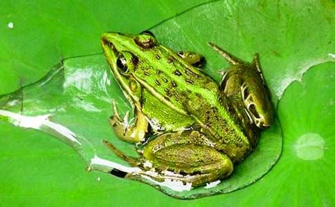 ��(sh��)�����Α�����