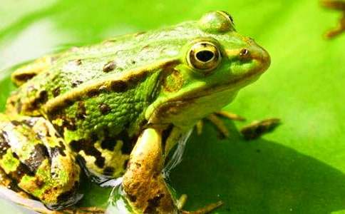 �茑���ܰl(f��)�^�̵����ģ�ͨ��7ƪ��