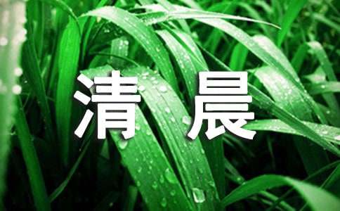 四季的清晨作文600字(精選55篇)