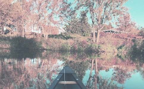 秋季優(yōu)秀作文300字合集6篇