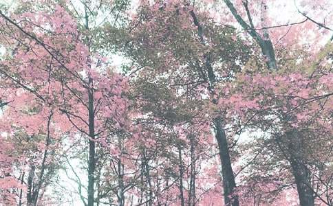 ���P(gu��n)���꼉�＾����300���\��9ƪ