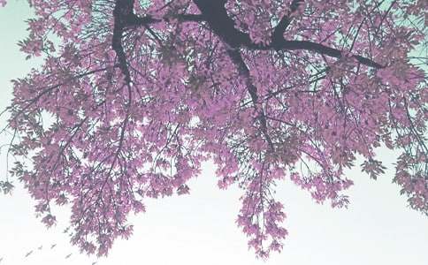 �P(gu��n)���＾���ļ���7ƪ