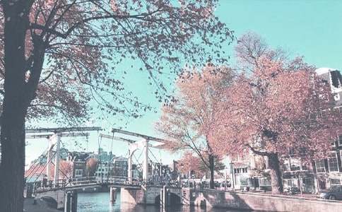 ���P(gu��n)С�W(xu��)���＾����300�օR��8ƪ