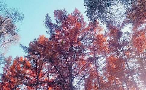 ���ո�������4ƪ