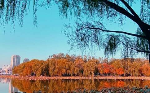 ����ꖹ�����