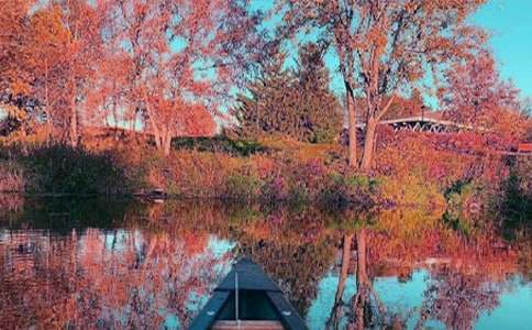 ���������éɽ��������