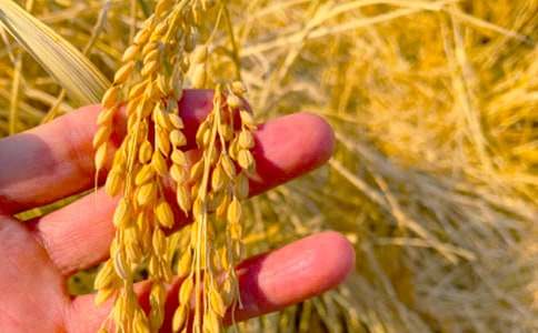 ��������400��