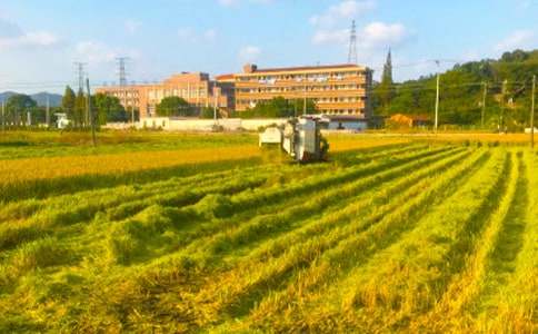 �����á���������300��49ƪ