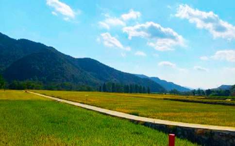 【推薦】秋收作文300字30篇