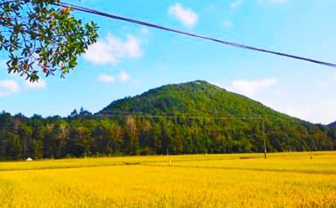 ��������400�֣�ͨ��45ƪ��