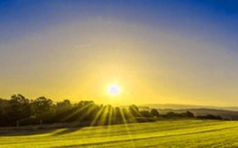 �������ճ�����(y��u)������