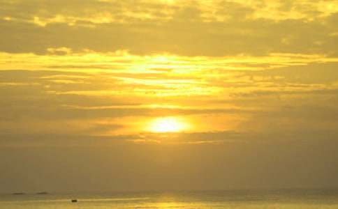 �����ճ�����