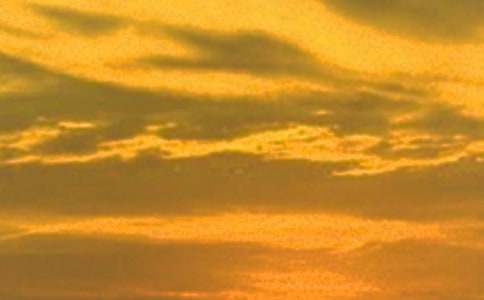 ���ϵ���������