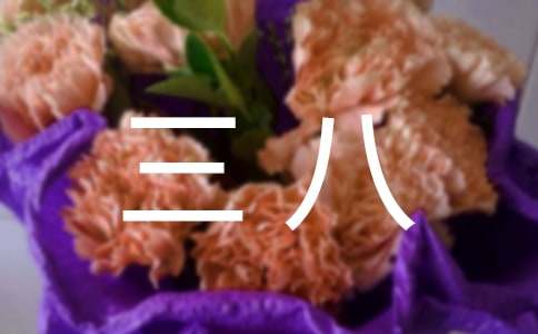 �ж��������ľ�ƪ