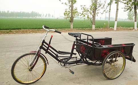 外婆的三輪車作文范文