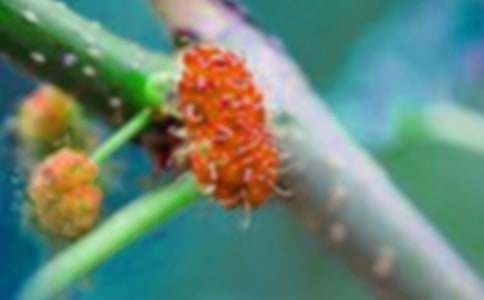 ��ɣ����������