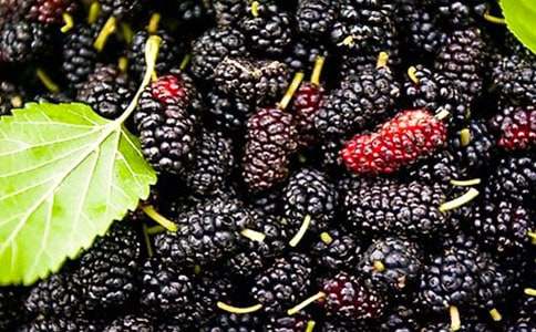 ���cɣ����Ҋ�r-�P(gu��n)��ɣ�ص�����600�� �߶����ķ���