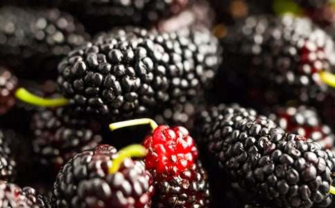 桑葚樹小學作文(精選31篇)